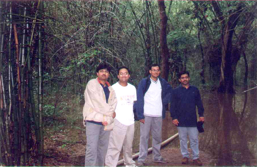 forest2.jpg, 199493 bytes, 2/1/2001